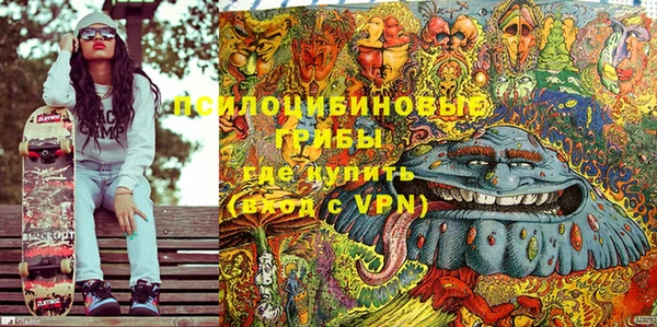 меф Пересвет