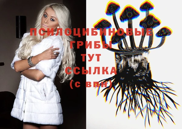 a pvp Баксан